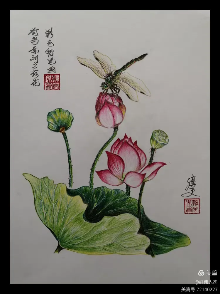 彩色铅笔画之四